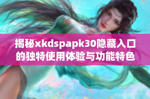 揭秘xkdspapk30隐藏入口的独特使用体验与功能特色