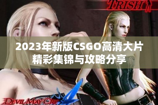 2023年新版CSGO高清大片精彩集锦与攻略分享