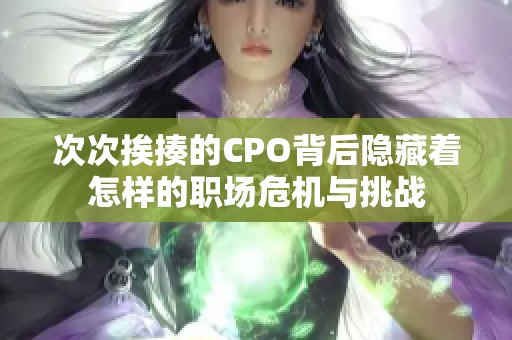 次次挨揍的CPO背后隐藏着怎样的职场危机与挑战