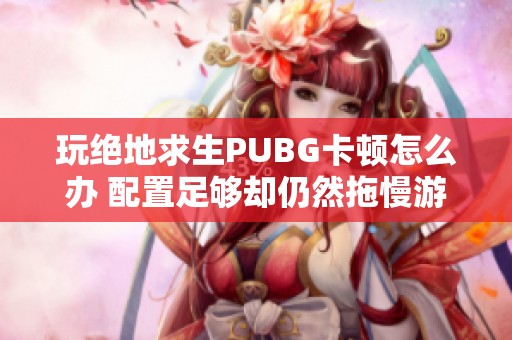 玩绝地求生PUBG卡顿怎么办 配置足够却仍然拖慢游戏体验的解决方法