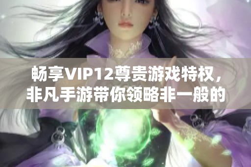 畅享VIP12尊贵游戏特权，非凡手游带你领略非一般的游戏体验