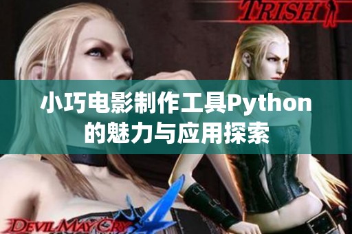 小巧电影制作工具Python的魅力与应用探索