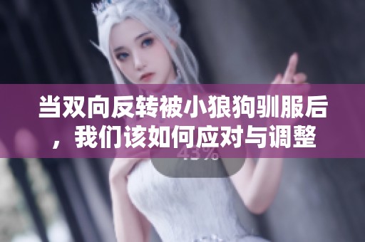 当双向反转被小狼狗驯服后，我们该如何应对与调整