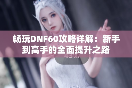 畅玩DNF60攻略详解：新手到高手的全面提升之路