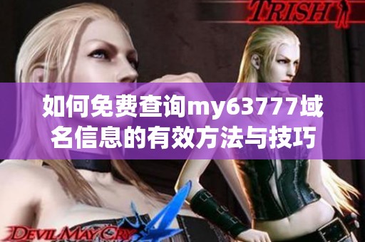 如何免费查询my63777域名信息的有效方法与技巧