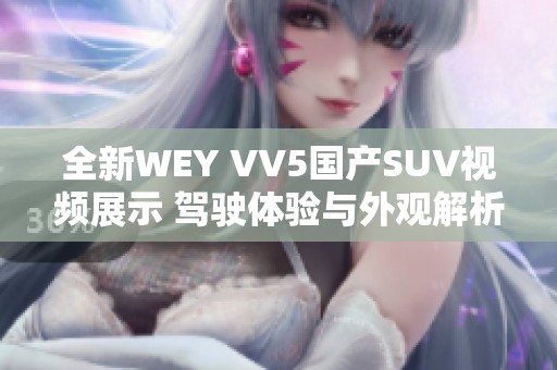 全新WEY VV5国产SUV视频展示 驾驶体验与外观解析