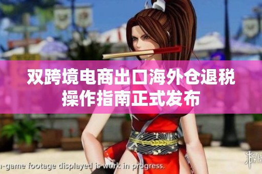 双跨境电商出口海外仓退税操作指南正式发布