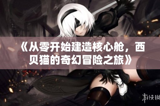 《从零开始建造核心舱，西贝猫的奇幻冒险之旅》