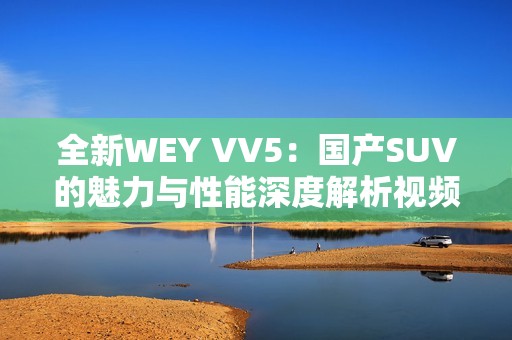 全新WEY VV5：国产SUV的魅力与性能深度解析视频